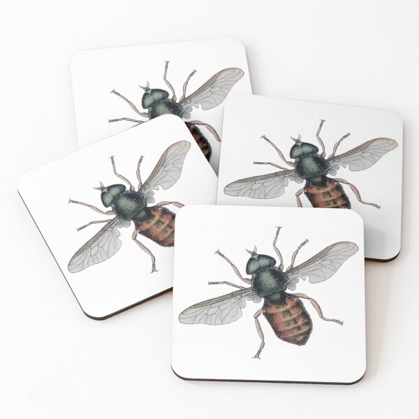 Item preview, Entomology Bug, Fly, Tabanus Tropicus Illustration  designed and sold by HawthorneFlame.