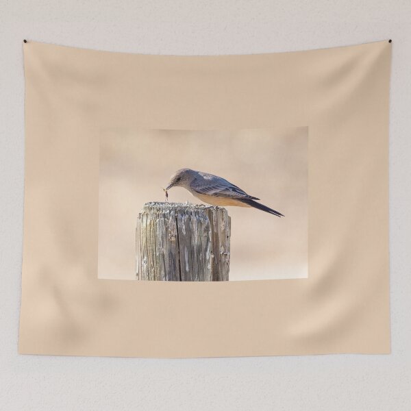 Item preview, Say's Phoebe with Insect designed and sold by CarolM.
