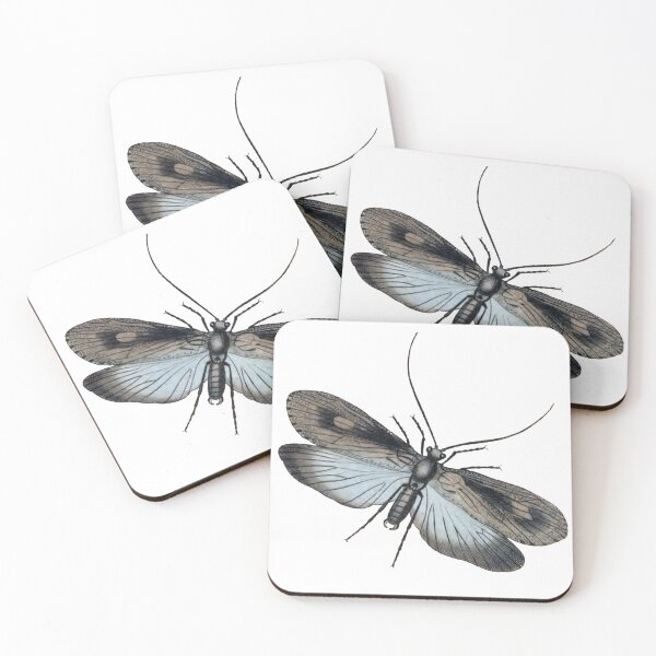 Item preview, Entomology Bug, Fly, Phryganea Grandis Illustration  designed and sold by HawthorneFlame.