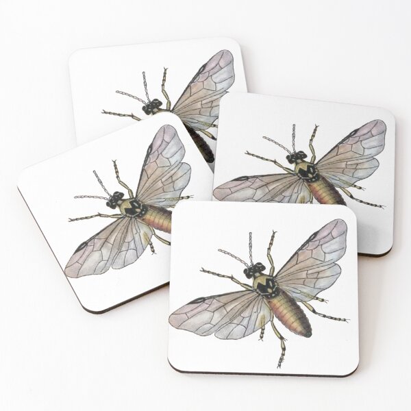 Item preview, Flying Bug Illustration, Entomology Illustration designed and sold by HawthorneFlame.
