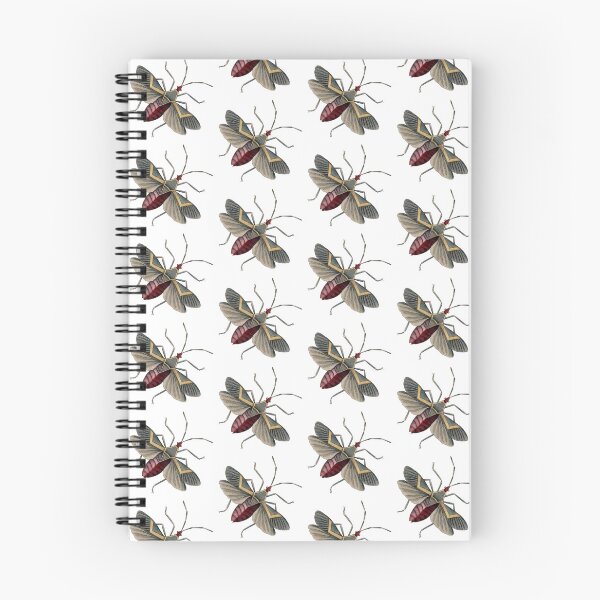 Item preview, Red Flying Bug Illustration, Entomology  designed and sold by HawthorneFlame.