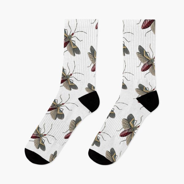 Item preview, Red Flying Bug Illustration, Entomology  designed and sold by HawthorneFlame.