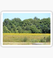 Rural Woodland Landscape Sticker