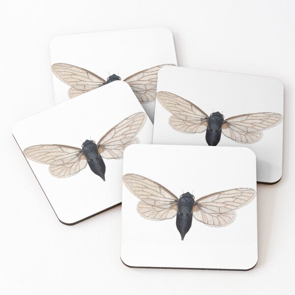 Item preview, Cicada Illustration, Entomology Illustration designed and sold by HawthorneFlame.
