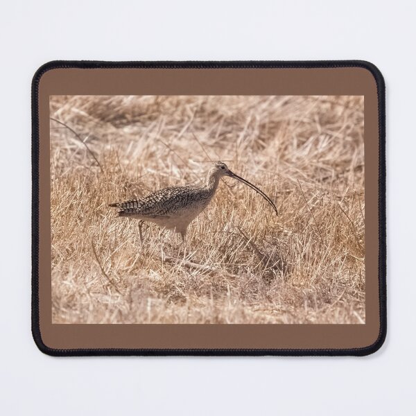 Item preview, Long-Billed Curlew designed and sold by CarolM.