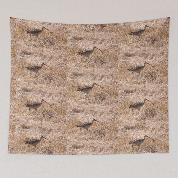 Artikelvorschau, Langschnabel-Brachvogel entworfen und verkauft von CarolM.