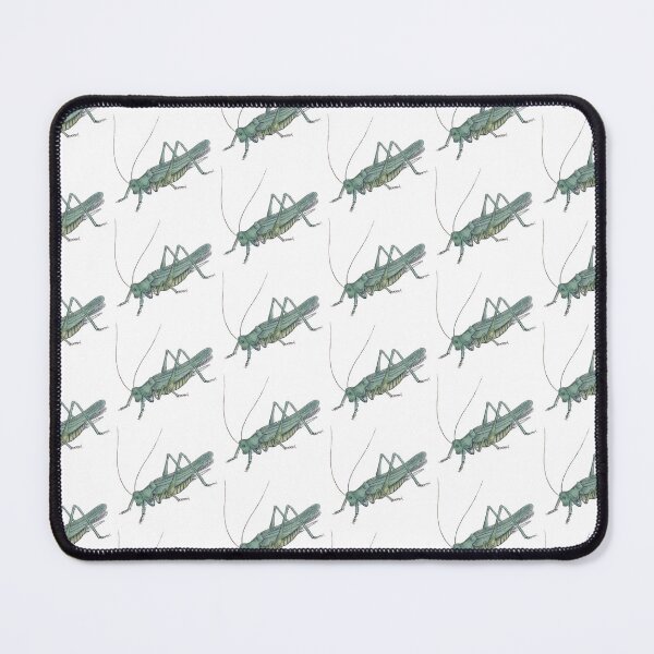 Item preview, Grasshopper Illustration, Entomology Illustration designed and sold by HawthorneFlame.