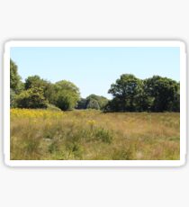 Rural Woodland Landscape Sticker