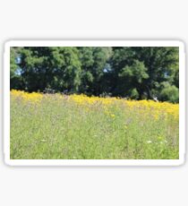 Field Of Flowers Sticker
