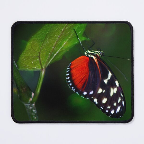 Item preview, Crimson Rose designed and sold by Kerri Ann McClellan.