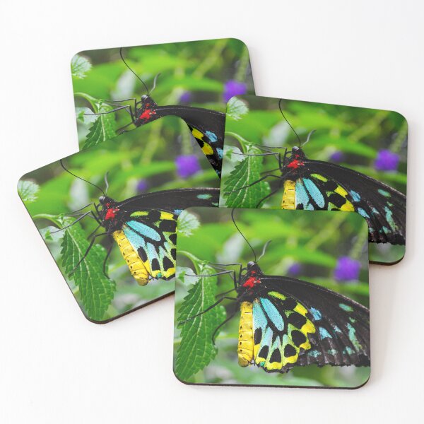 Item preview, Birdwing Butterfly designed and sold by Kerri Ann McClellan.