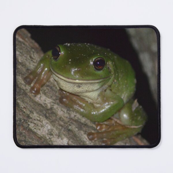 Item preview, Green Tree Frog designed and sold by WildAuraAussie.