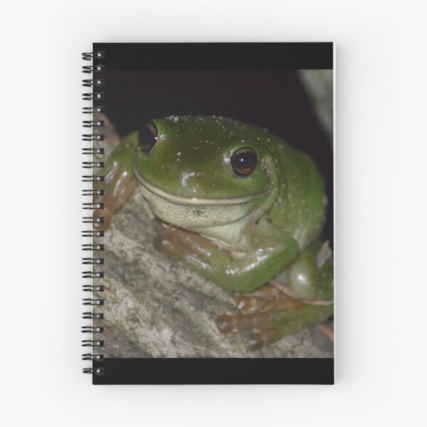 Item preview, Green Tree Frog designed and sold by WildAuraAussie.