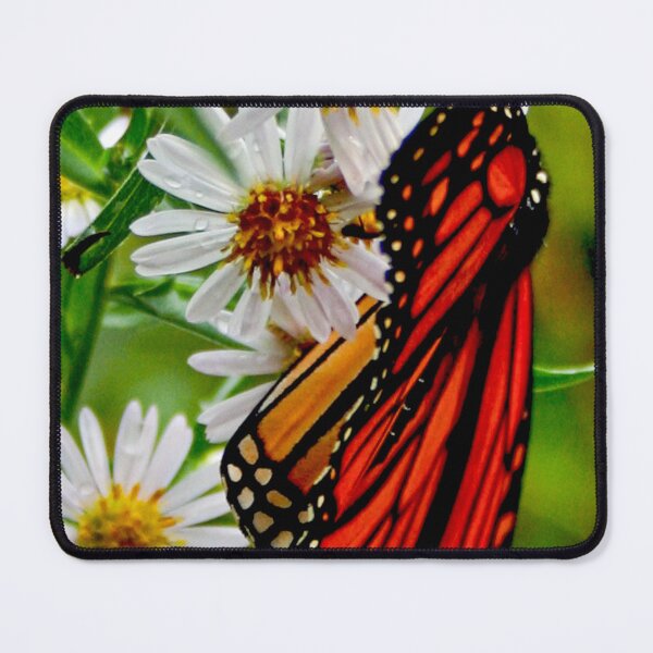 Item preview, Sleeping Wings designed and sold by Kerri Ann McClellan.