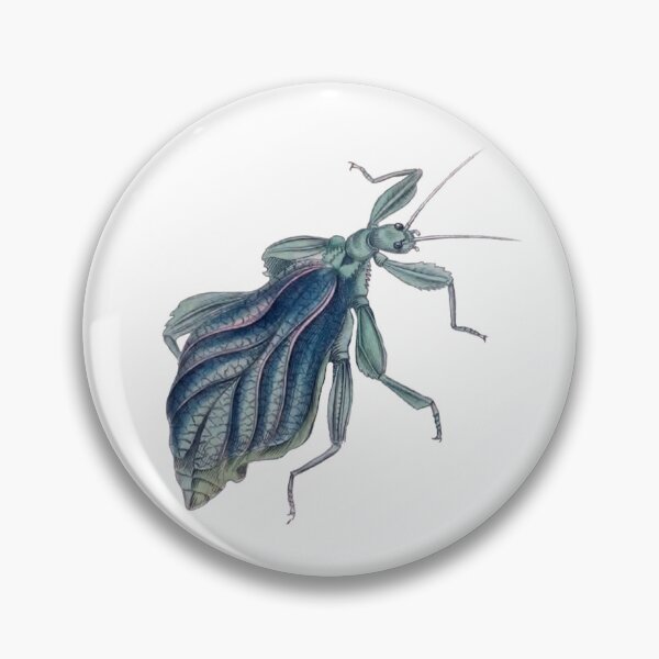 Item preview, Leaf Bug Illustration, Phyllium Siccifolium, Entomology designed and sold by HawthorneFlame.