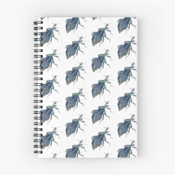 Item preview, Leaf Bug Illustration, Phyllium Siccifolium, Entomology designed and sold by HawthorneFlame.