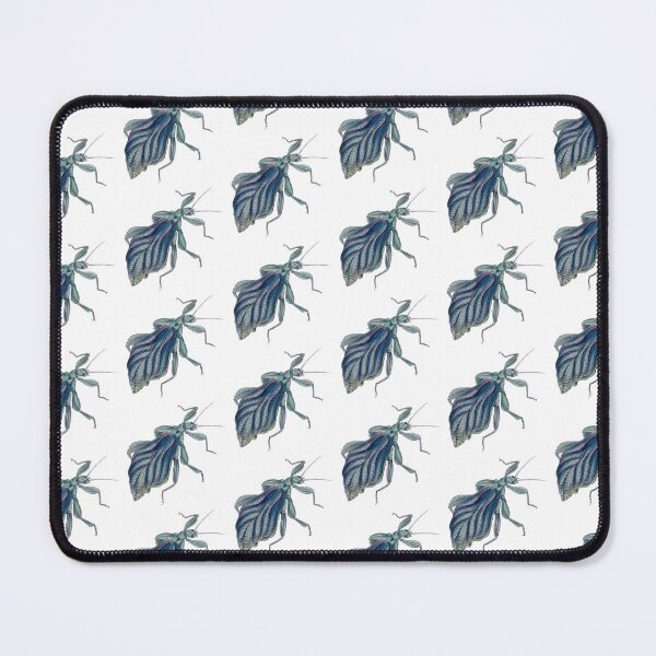 Item preview, Leaf Bug Illustration, Phyllium Siccifolium, Entomology designed and sold by HawthorneFlame.