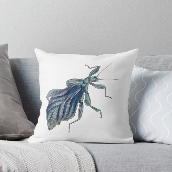 Item preview, Leaf Bug Illustration, Phyllium Siccifolium, Entomology designed and sold by HawthorneFlame.
