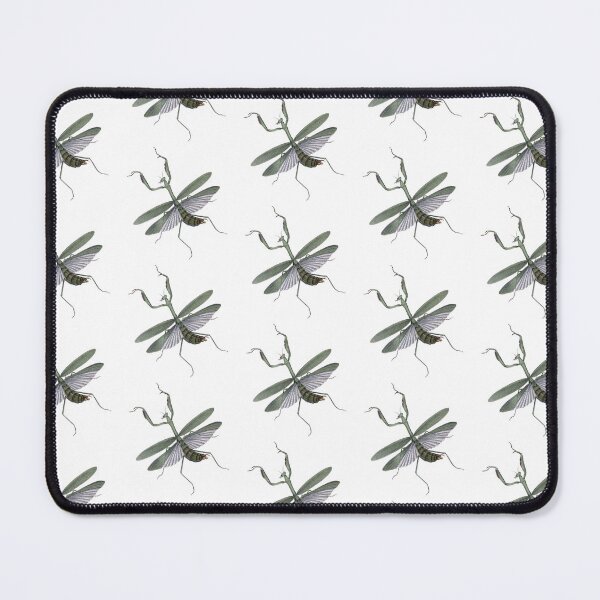 Item preview, Praying Mantis Illustration, Mantodea, Entomology Illustration  designed and sold by HawthorneFlame.