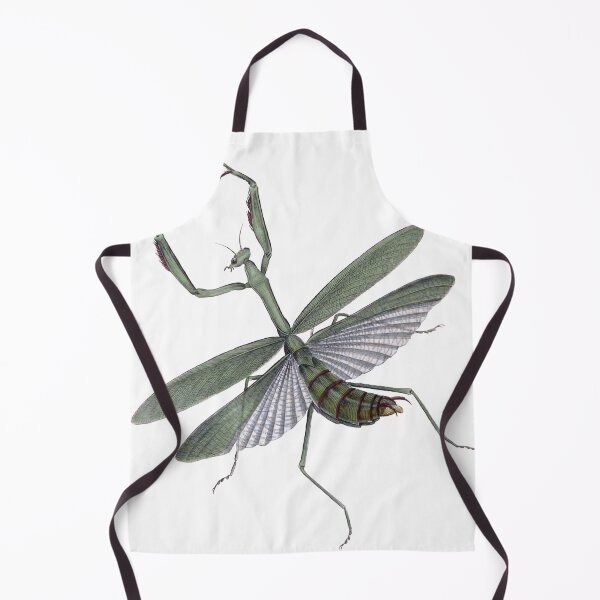 Item preview, Praying Mantis Illustration, Mantodea, Entomology Illustration  designed and sold by HawthorneFlame.