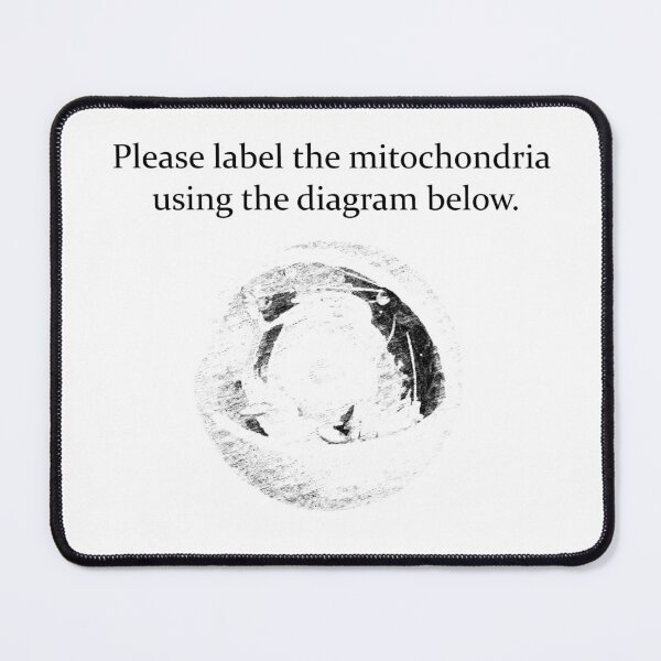 Item preview, World's Best Science Test Diagram designed and sold by SelenaElleen.