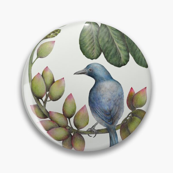 Item preview, Florida Scrub Jay on Pistachio Tree designed and sold by Art_By_Wing.
