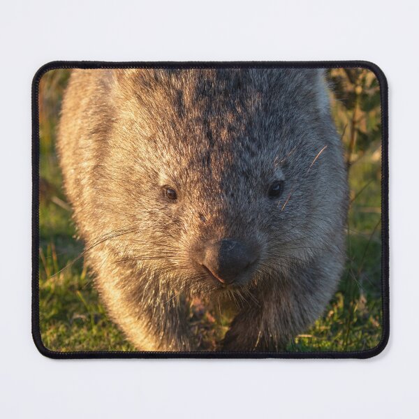 Item preview, Wombie Love designed and sold by bella photoaus.