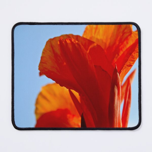 Item preview, Orange Glow designed and sold by Kerri Ann McClellan.