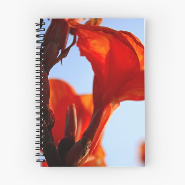 Item preview, Orange Glow II designed and sold by Kerri Ann McClellan.