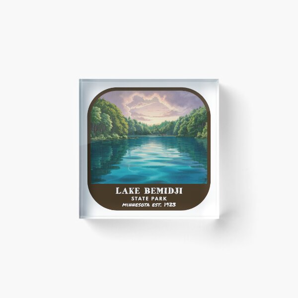 Item preview, Vintage Lake Bemidji State Park (Minnesota State Park) designed and sold by RabbitK.