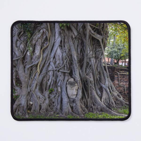 Item preview, Head in the tree in Thailand designed and sold by pietrofoto.