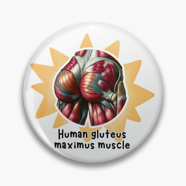 Item preview, Human gluteus maximus muscle Anatomy Illustration designed and sold by MuseGlowStudio.