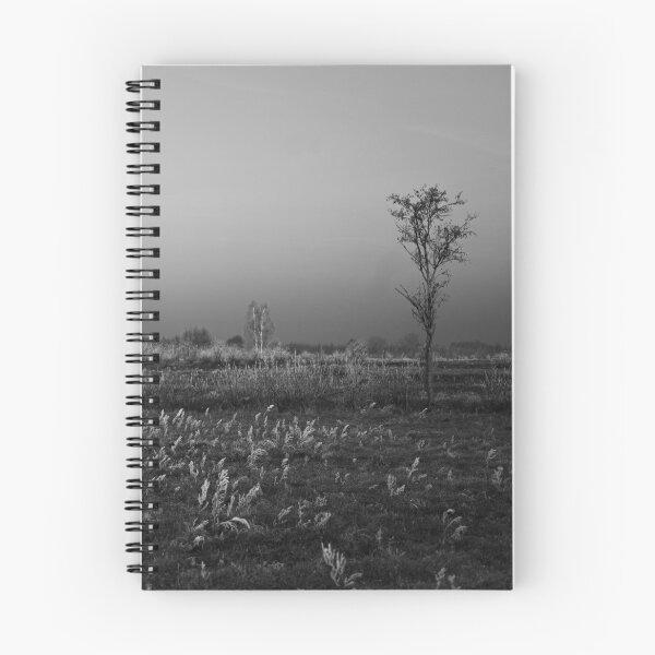 Item preview, Frosty Meadow with Lone Tree in Black and White Landscape designed and sold by alicjamiekina.