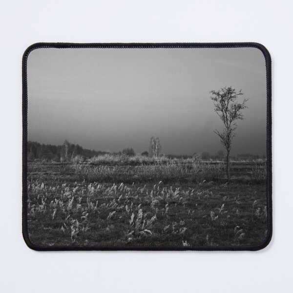 Item preview, Frosty Meadow with Lone Tree in Black and White Landscape designed and sold by alicjamiekina.