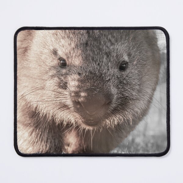 Item preview, Wombie Love designed and sold by bella photoaus.