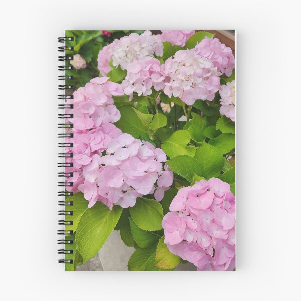 Aperçu de l'œuvre Hortensias roses créée et vendue par yunee.