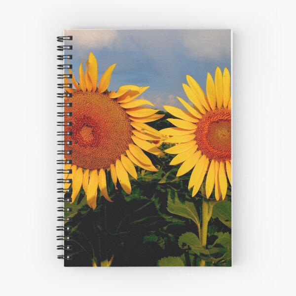 Item preview, Sunrise pair of Sunflowers designed and sold by WayneSheridan.
