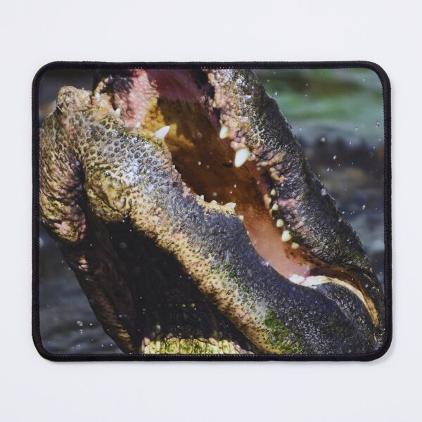 Item preview, Alligator Snapping at Food designed and sold by MercerImages.