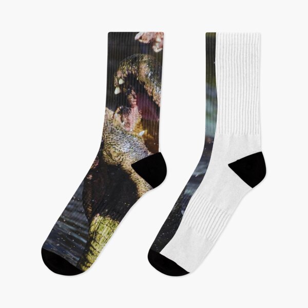 Item preview, Alligator Snapping at Food designed and sold by MercerImages.