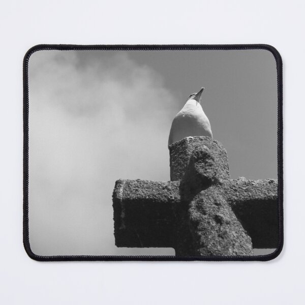 Item preview, Gull designed and sold by Stix-x.