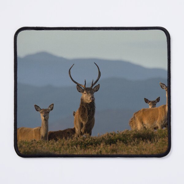 Item preview, Standing Proud designed and sold by Macrae images.