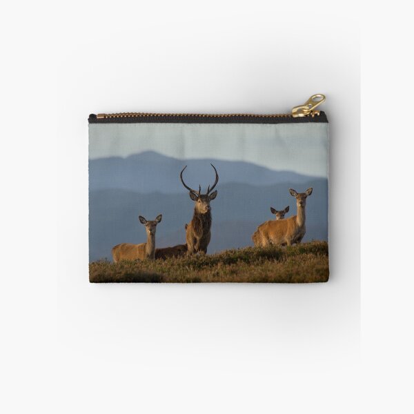 Item preview, Standing Proud designed and sold by Macrae images.