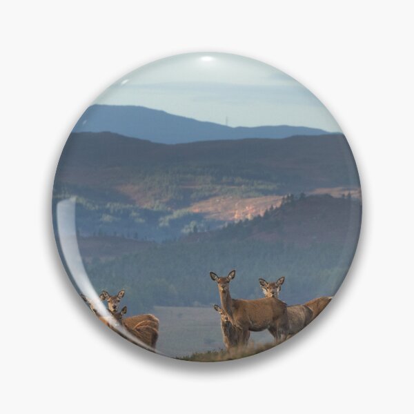 Item preview, Red Deer Highland Landscape designed and sold by Macrae images.