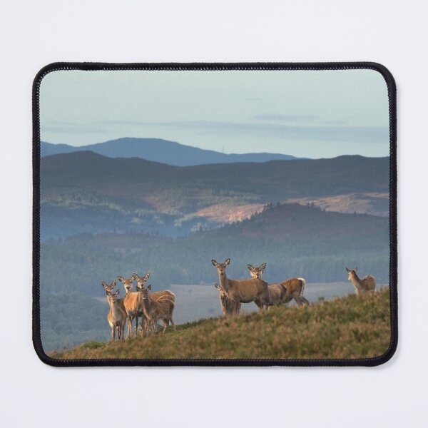 Item preview, Red Deer Highland Landscape designed and sold by Macrae images.