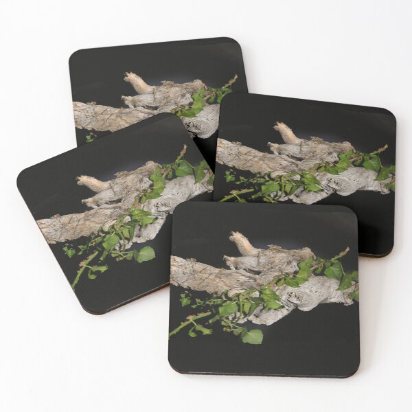 Item preview, Ivy, old and new. designed and sold by Paul Pasco.