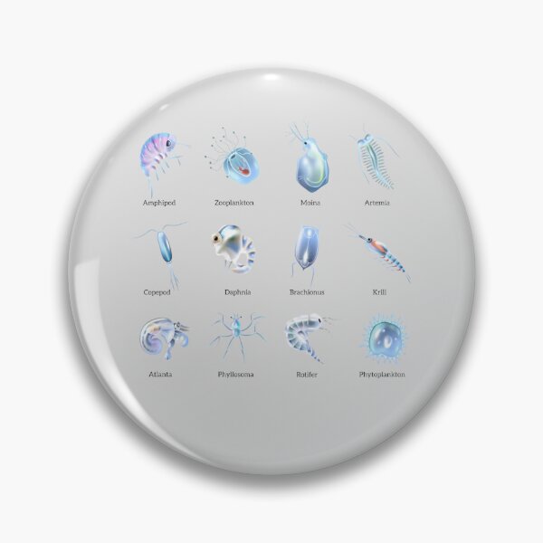 Item preview, Zooplankton Marine Microorganisms | Educational Ocean Biology Art designed and sold by flexxtees.