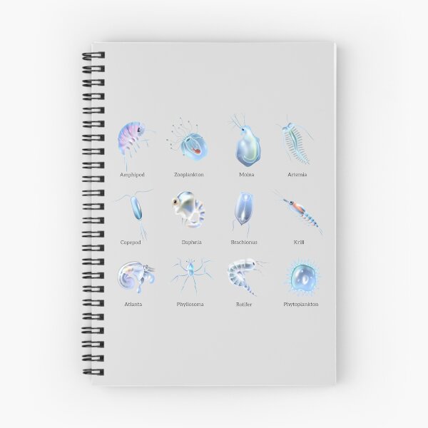 Item preview, Zooplankton Marine Microorganisms | Educational Ocean Biology Art designed and sold by flexxtees.
