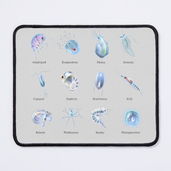 Item preview, Zooplankton Marine Microorganisms | Educational Ocean Biology Art designed and sold by flexxtees.