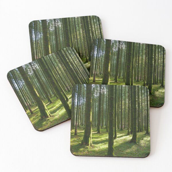 Item preview, Sunlight in a Conifer Plantation  designed and sold by Craig Joiner.