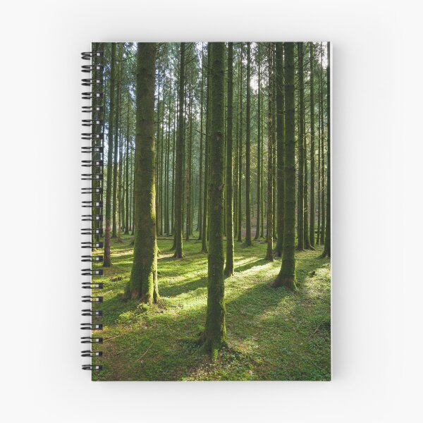Item preview, Sunlight in a Conifer Plantation  designed and sold by Craig Joiner.
